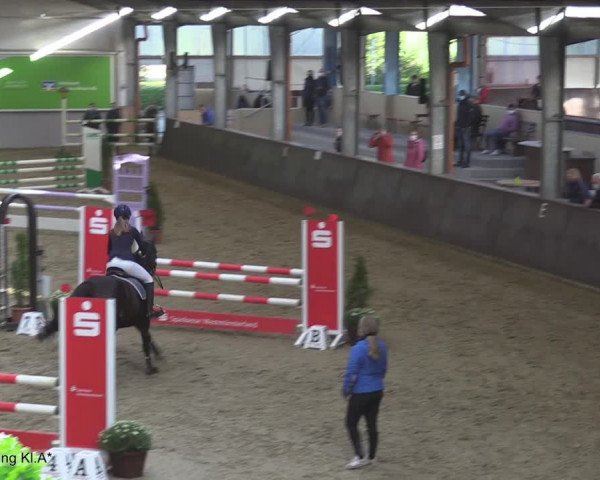 Reitturnier Legden 2020