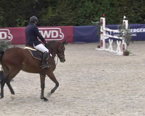 Reitturnier Worms-Pfeddersheim / Reitsportanlage Wittemer 2020