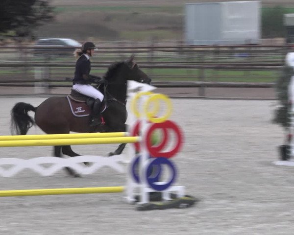 Reitturnier Worms-Pfeddersheim / Reitsportanlage Wittemer 2020