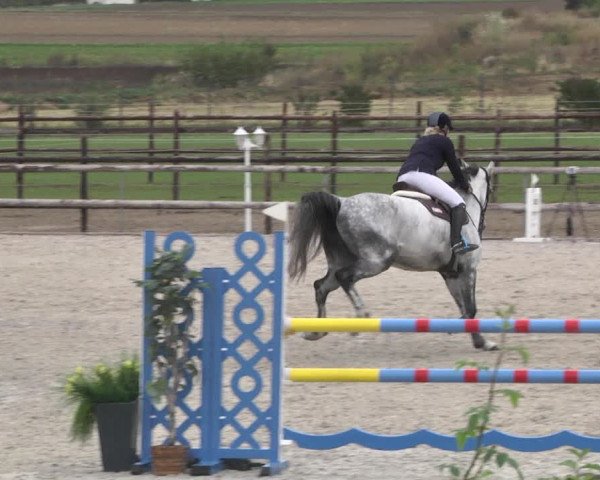 Reitturnier Worms-Pfeddersheim / Reitsportanlage Wittemer 2020