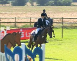 jumper Cassio (Oldenburg, 2008, from Carry Gold)