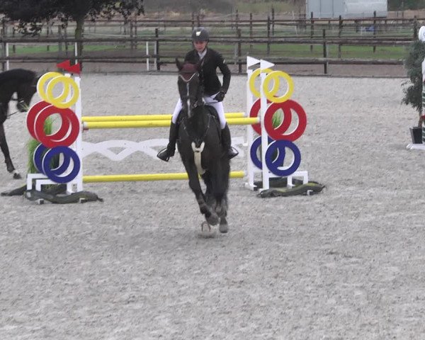 Reitturnier Worms-Pfeddersheim / Reitsportanlage Wittemer 2020