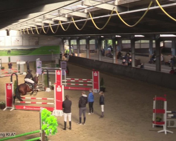 Reitturnier Legden 2020