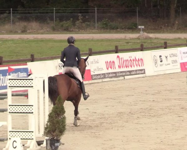 Reitturnier Westergellersen 2020