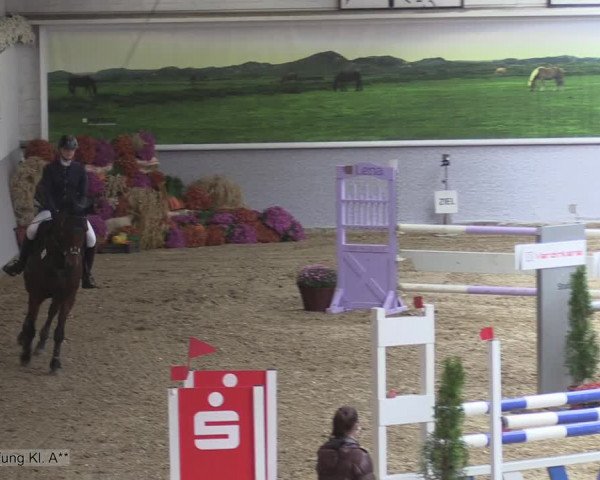 Reitturnier Legden 2020