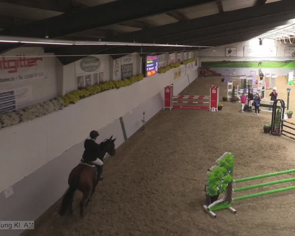 Reitturnier Legden 2020