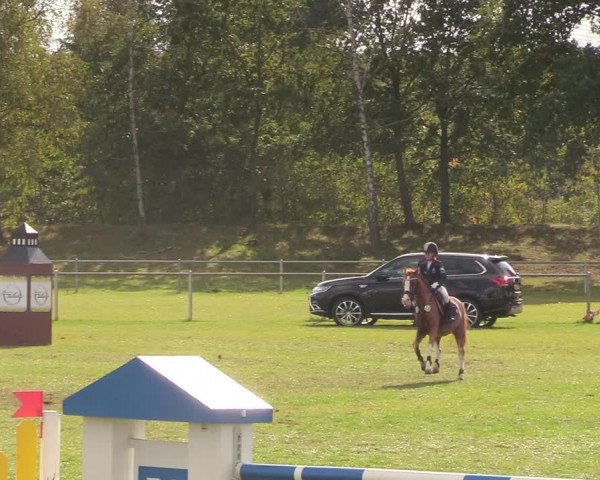 Reitturnier Gardelegen 2020
