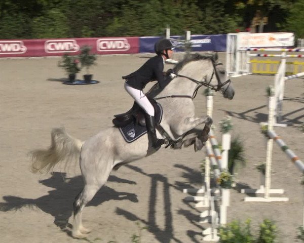 Reitturnier Worms-Pfeddersheim / Reitsportanlage Wittemer 2020