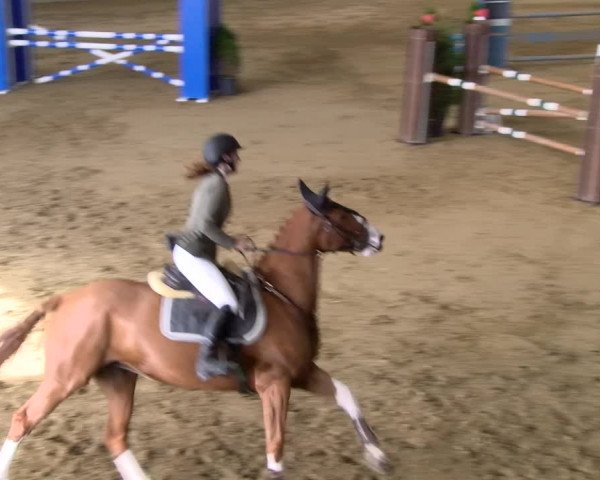 Reitturnier Buchs 2021