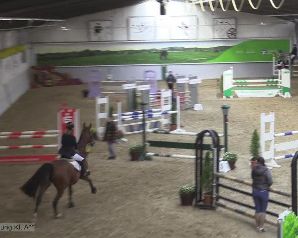 Reitturnier Legden 2020
