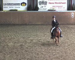 dressage horse Holsteins Dooley (German Riding Pony, 2006, from Fs Disagio)