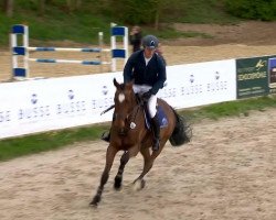 jumper Calidos Stern (Hanoverian, 2009, from Chalet)
