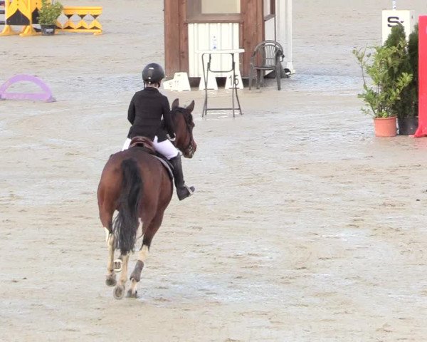 Reitturnier Westergellersen 2020