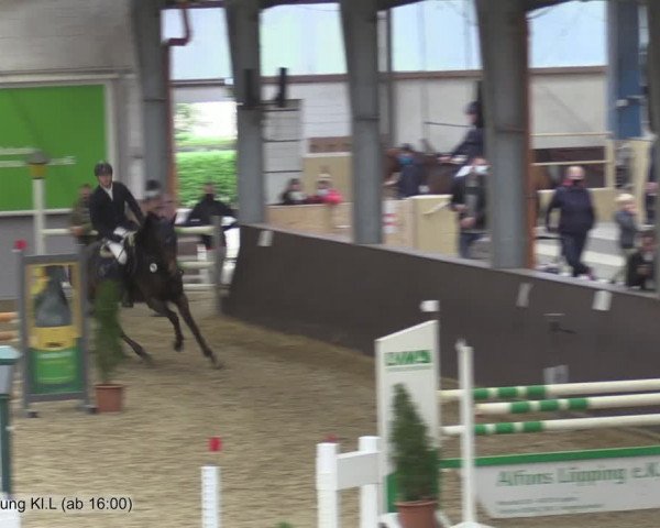 Reitturnier Legden 2020