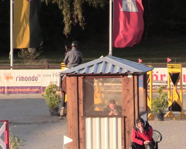 Reitturnier Westergellersen 2020