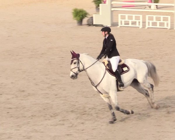 Reitturnier Westergellersen 2020