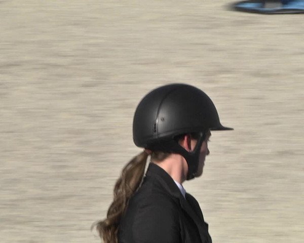 Reitturnier Worms-Pfeddersheim / Reitsportanlage Wittemer 2020