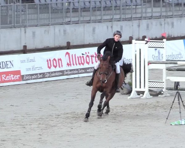 Reitturnier Westergellersen 2020