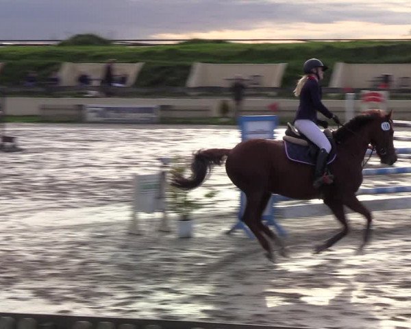 Reitturnier Schülp / Rendsburg 2020