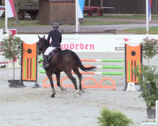 Reitturnier Westergellersen 2020