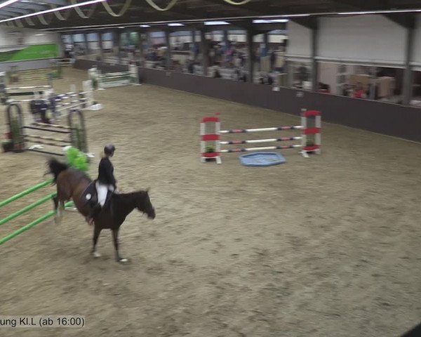 Reitturnier Legden 2020