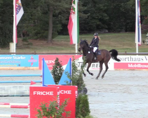 Reitturnier Westergellersen 2020