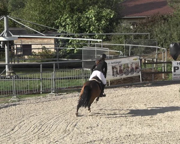 Reitturnier Worms-Pfeddersheim / Reitsportanlage Wittemer 2020