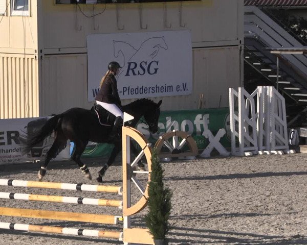 Reitturnier Worms-Pfeddersheim / Reitsportanlage Wittemer 2020