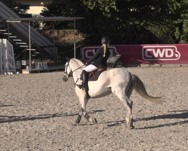 Reitturnier Worms-Pfeddersheim / Reitsportanlage Wittemer 2020
