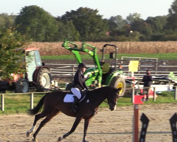 Reitturnier Altenberge 2020