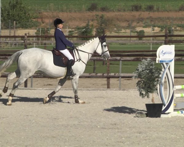 Reitturnier Worms-Pfeddersheim / Reitsportanlage Wittemer 2020