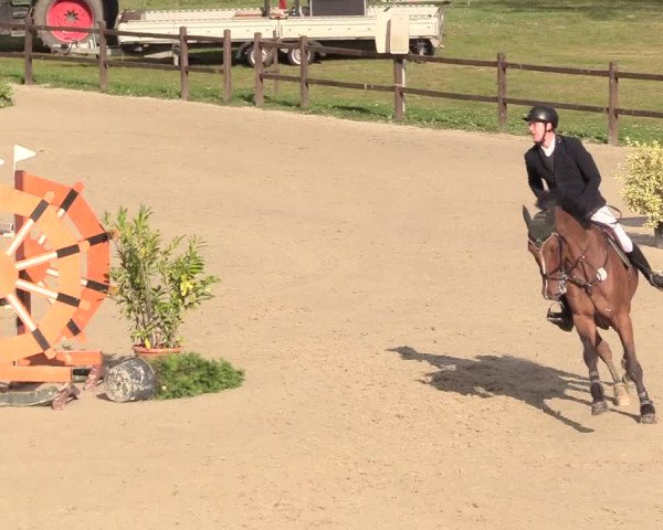 Reitturnier Westergellersen 2020