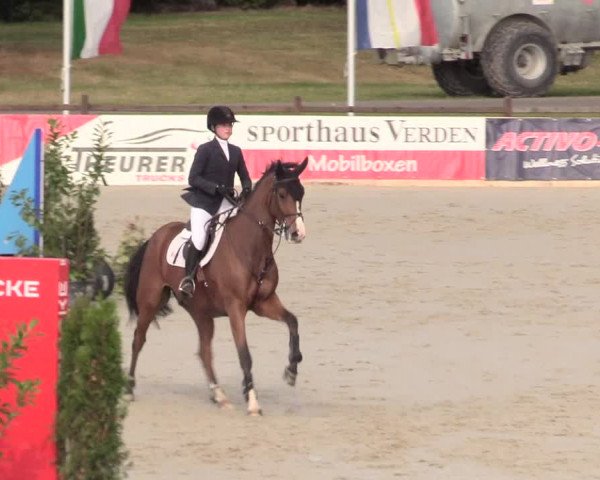 Reitturnier Westergellersen 2020