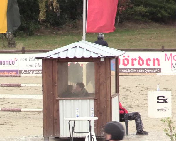 Reitturnier Westergellersen 2020
