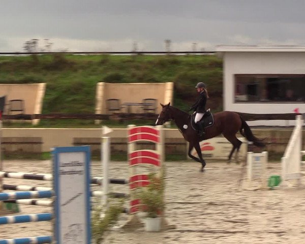 Reitturnier Schülp / Rendsburg 2020