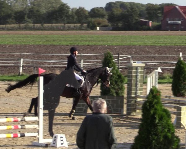 Reitturnier Altenberge 2020