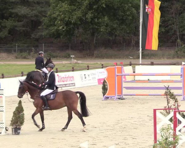 Reitturnier Westergellersen 2020