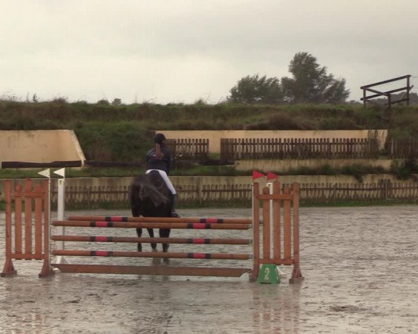Reitturnier Schülp / Rendsburg 2020