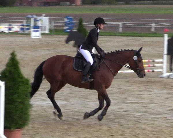 Reitturnier Altenberge 2020
