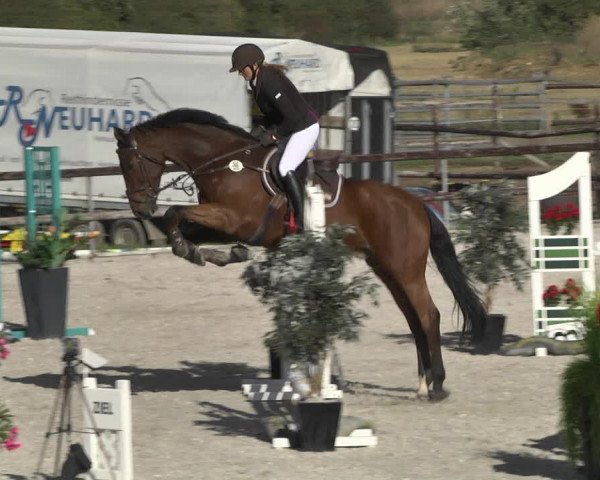 Reitturnier Worms-Pfeddersheim / Reitsportanlage Wittemer 2020