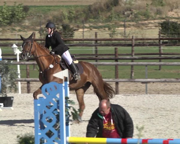 Reitturnier Worms-Pfeddersheim / Reitsportanlage Wittemer 2020