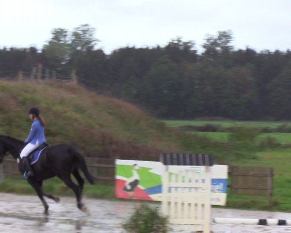 Reitturnier Schülp / Rendsburg 2020