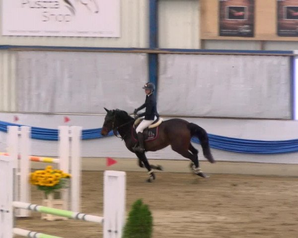 Reitturnier Buchs 2021