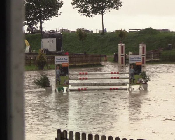 Reitturnier Schülp / Rendsburg 2020