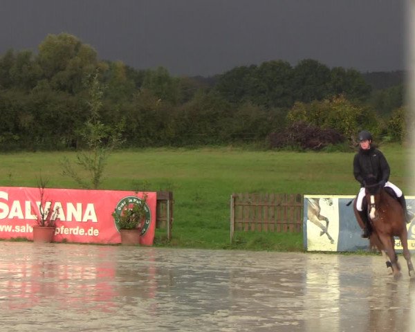 Reitturnier Schülp / Rendsburg 2020