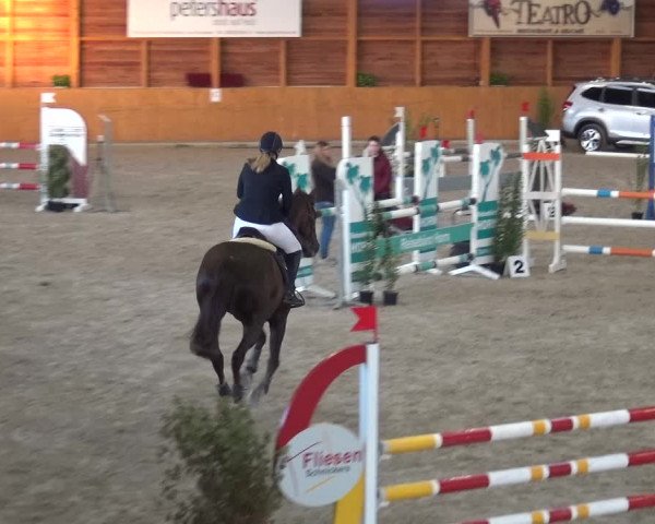 Reitturnier Xanten - Reitanlage Miss 2020