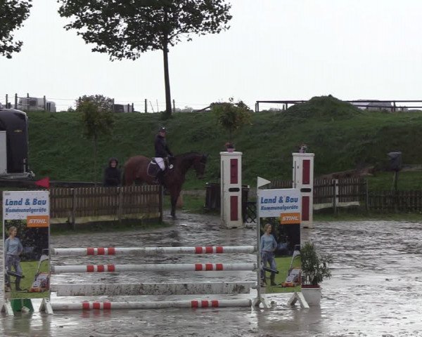 Reitturnier Schülp / Rendsburg 2020