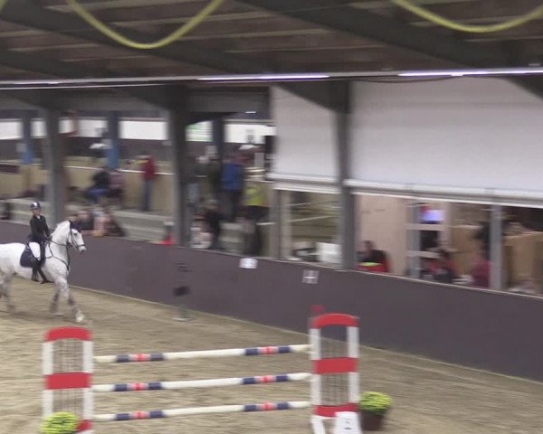 Reitturnier Legden 2020