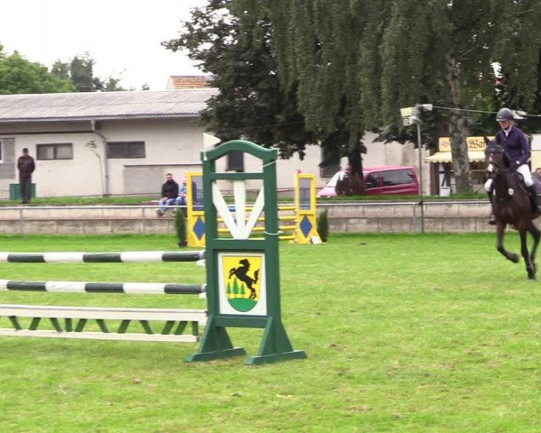 Reitturnier Altmittweida 2021
