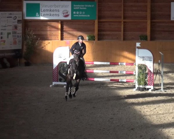 Reitturnier Xanten - Reitanlage Miss 2020
